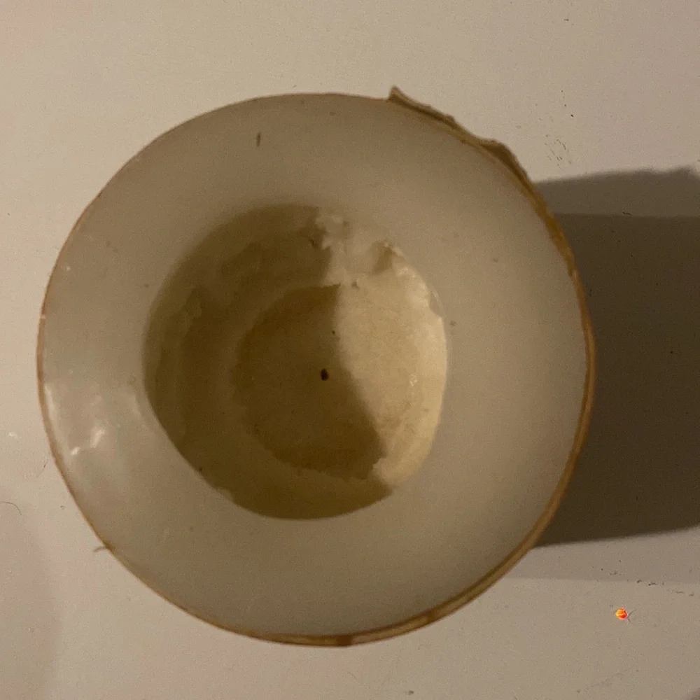 Pottery Barn Birch Bark Pillar Candle 4x4